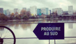 image slider