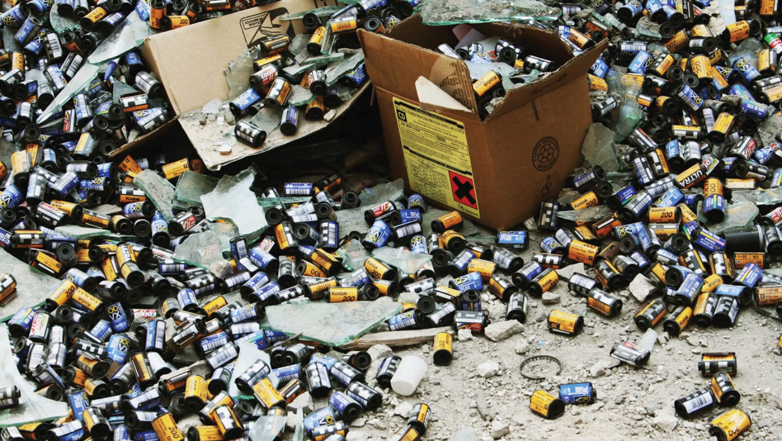 2025010_DO_YOU_LOVE_ME_DAHER_SITE_AYANT_DROIT_5