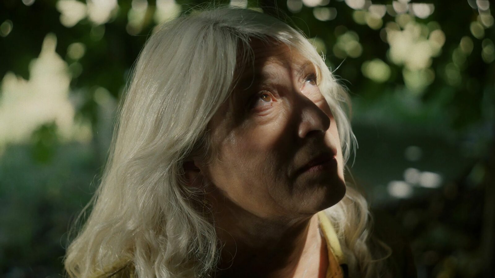 202509_A_HEART_AS_WILLING_SOTO_ZF_1