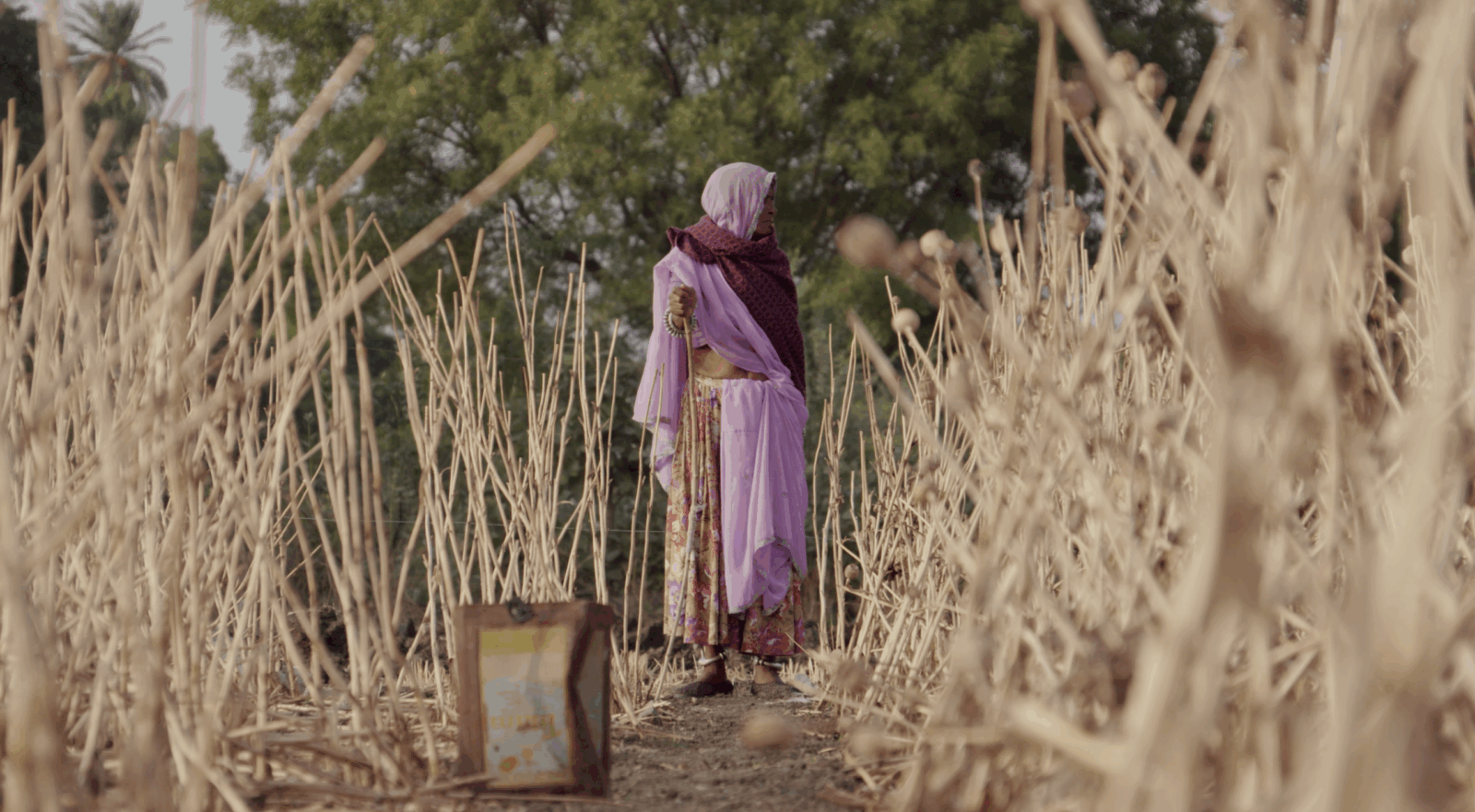 202510_I_POPPY_CHAUDHARY_AYANT_DROIT_19