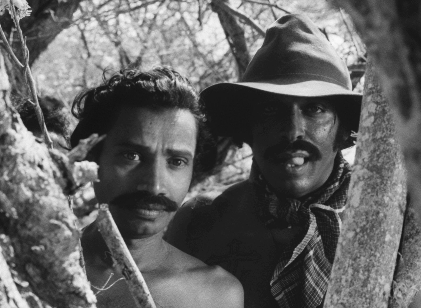 202510_LES_GUEPES_SONT_LA_Pathiraja_DHARMASENA_AYANT_DROIT_4