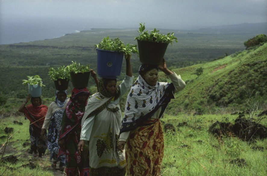 femmes colline