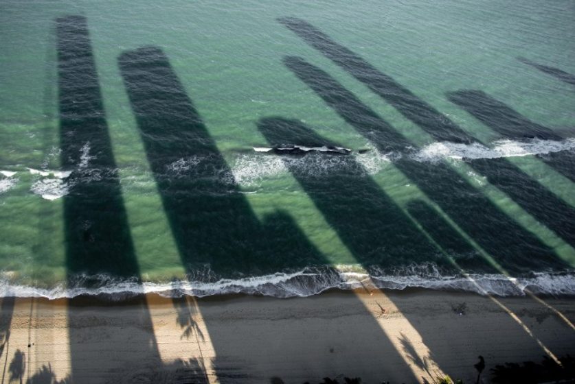 Quando a Tarde Cai - Gabriel Mascaro - carto postal 1 low-1