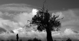 Le ciel, la terre et la pluie