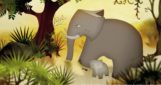 Ahco, le petit éléphant intrépide